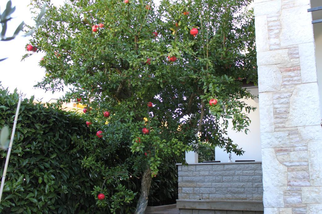 Nena Apartmán Pula